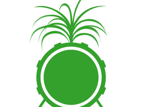 BACK TO THE JUNGLE – World trans System