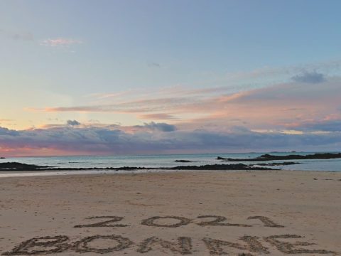 Happy new year * ! All the best to you all !!!!