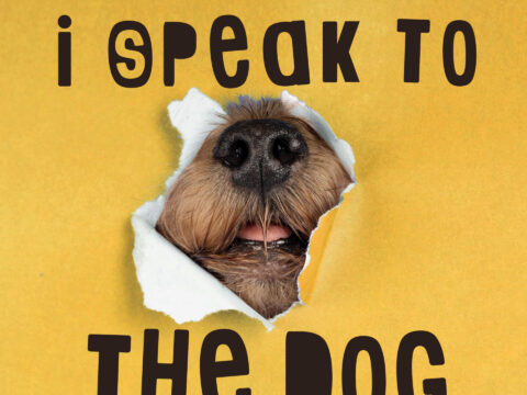 I speak to the Dog, le nouvel album en Anglais de Simeon Lenoir