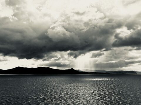 Sortie vidéo de COSMO @ La Scala le 21 Juin et de l’Album « La Vida del Van » le 4 Juillet 2025